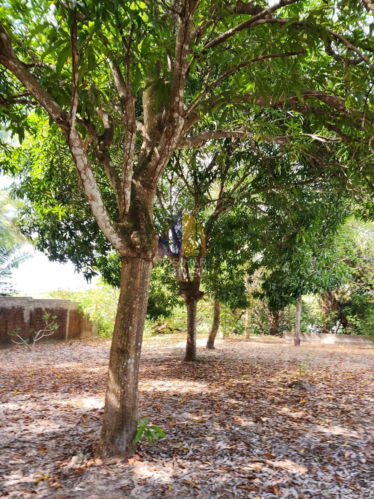 Espetacular Sítio com Casa Duplex Avarandada ,3 quartos, Pier para Rio Paciência, Bosque,  Área de 8.721m², à venda em Paço do Lumiar, Mocajituba Espetacular Sítio com Casa Duplex Avarandada ,3 quartos, Pier para Rio Paciência, Bosque,  Área de 8.721m², à venda em Paço do Lumiar, Mocajituba - Josimar Abreu Imóveis